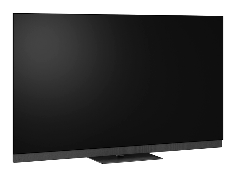 Panasonic Z95B