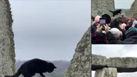Moment viral la Stonehenge: O pisică neagră apare de nicăieri și „fură” spectacolul solstițiului de iarnă, la care mii de turiști s-au adunat (VIDEO)