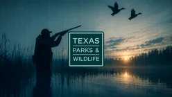 O breșă masivă de securitate la o agenție a guvernului statului Texas expune datele a 3 milioane de persoane
