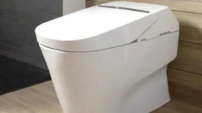 Toaleta high-tech care costă 10.000 de dolari