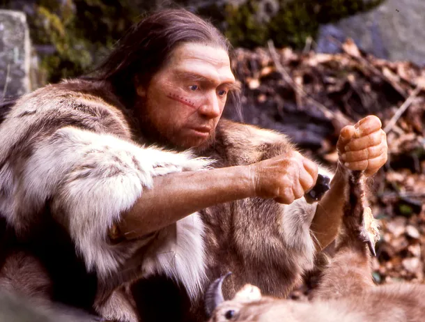 Tehnologie veche de zeci de mii de ani: Au fost descoperite primele dovezi privind utilizarea uneltelor din os de către neandertali în România