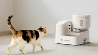 Petkit lansează primul dozator automat pentru hrană umedă: Dispozitivul monitorizează cât mănâncă și cât bea pisica (FOTO)