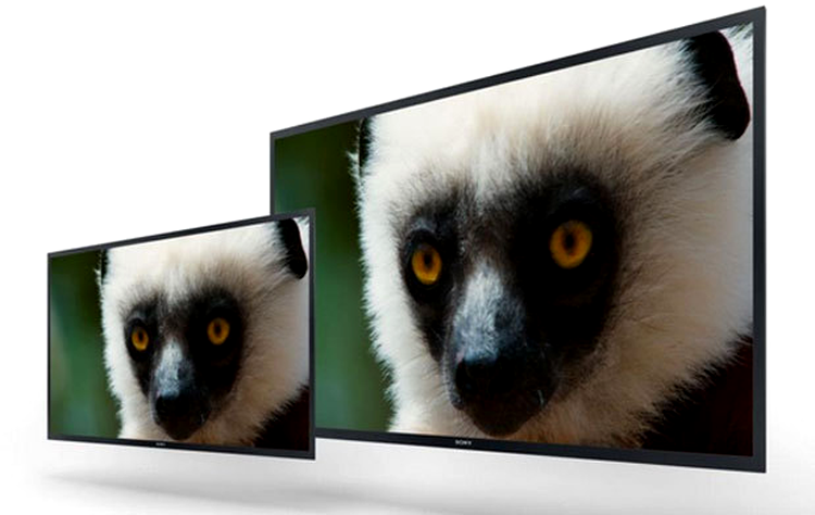 Sony pregăteşte monitoare 4K cu tehnologie OLED
