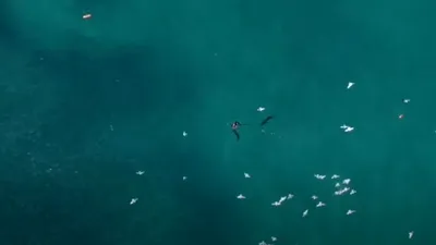 VIDEO: Un pilot de dronă a salvat viața unui înotător atacat de un rechin