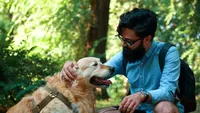 Investiții și stimulente pentru hrana de animale în India: Ce înseamnă pentru branduri și startup-uri