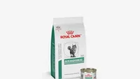 Royal Canin lansează GLYCOADVANCED: Hrana pentru pisici diabetice supraponderale