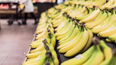 Descoperirea făcută de angajați ai Lidl în camionul cu banane: „A sosit tocmai din Costa Rica”