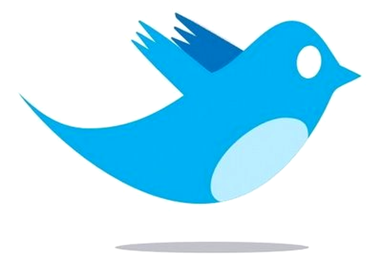 Zece ani de închisoare, pentru exprimarea liberă pe Twitter