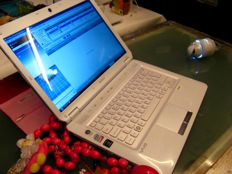 Sony VAIO CS11 in compania lui Sony Rolly