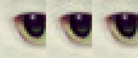 Comparaţie: JPEG, libjpeg (mijloc), Guetzli