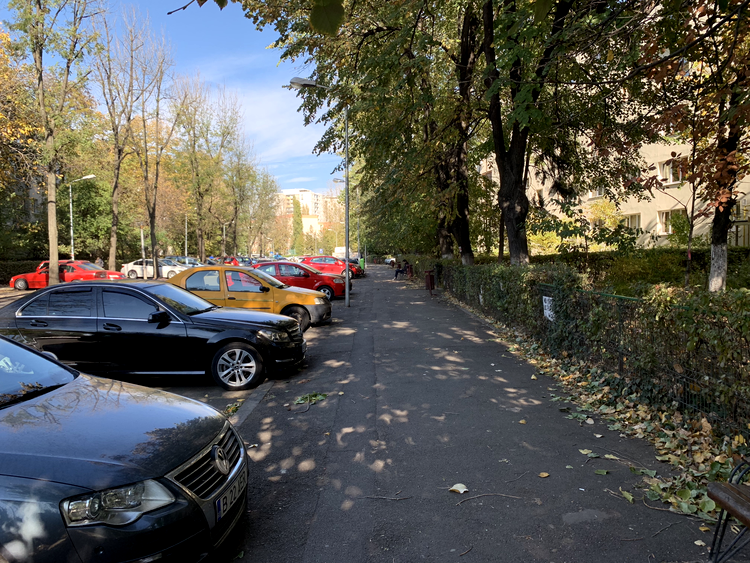 iPhone XR - foto zi