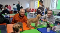 Cățeii ASPA, vizită surpriză la centrul social „Sfântul Ioan” din București. Seniorii au uitat, pentru câteva ore, de greutăți datorită blănoșilor: „Mângâierile, jocurile și prezența lor calmă au ajutat la destinderea atmosferei” (FOTO)