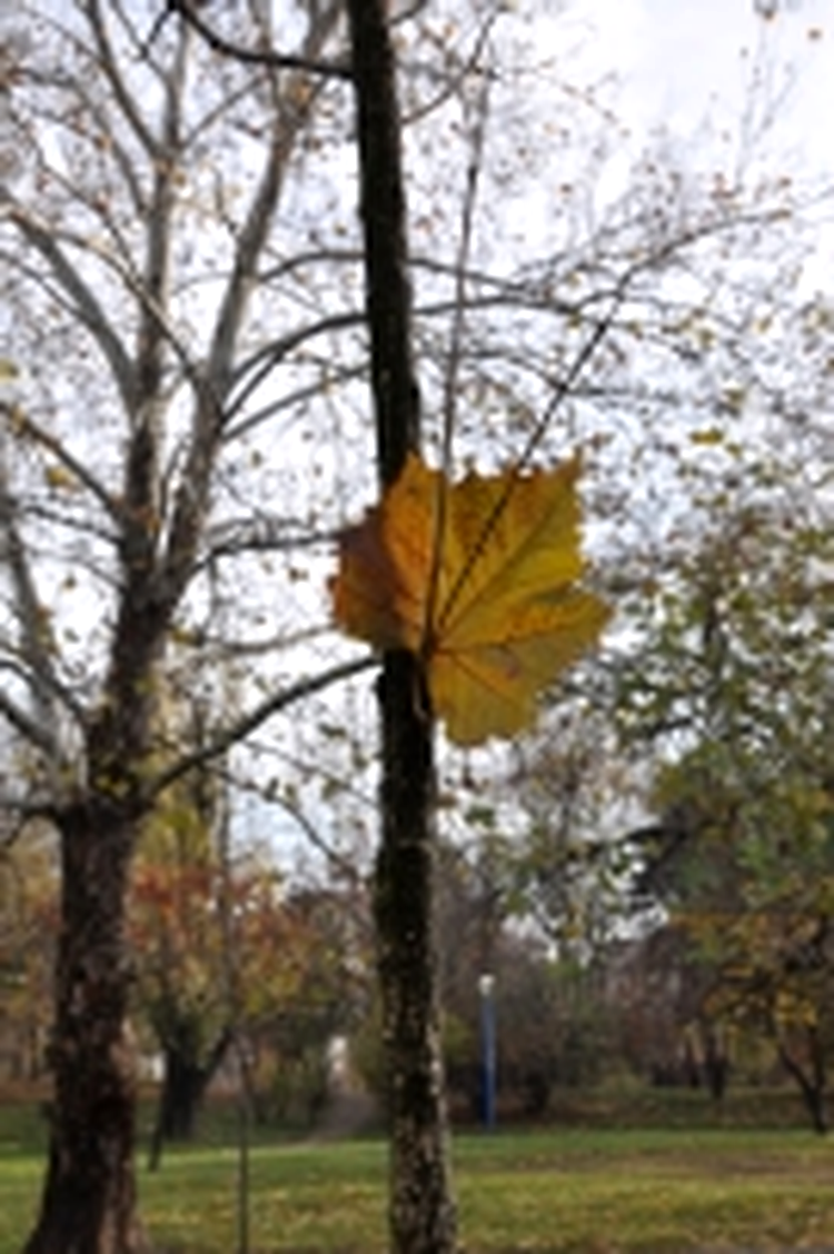 ISO 200, 1/320 s, f/9.0