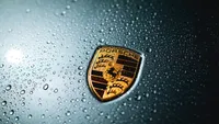 Porsche recheamă în service peste 173.000 de vehicule din cauza unei probleme la camera pentru mers înapoi