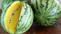 Este sănătos sau nu pepenele verde cu miez galben? De ce este galben, de fapt