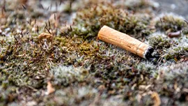 Mucurile de țigară, transformate în elemente pentru baterii de cercetători chinezi