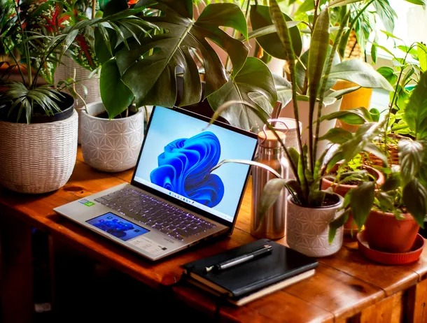 Microsoft a recunoscut că a blocat aplicații în Windows 11 și a lansat o remediere