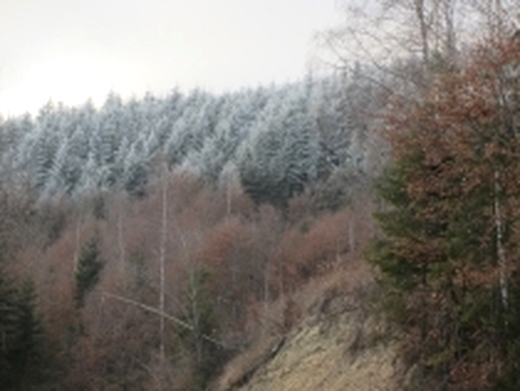 ISO 400, F4.0, 1/100 s