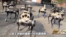 Roboții-câini, care operează autonom ca o „haită de lupi”, au fost testați în China – VIDEO