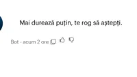 OPINIE Am testat asistentul virtual ANA al celor de la ANAF / Ne-a pus să așteptăm
