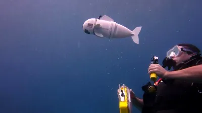 Peştele robot SoFi înoată ca unul real şi are carcasa realizată cu o imprimantă 3D