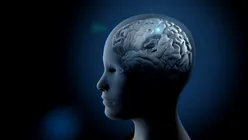 Creierul ar putea genera conștiința printr-un canal necunoscut. Ce au descoperit cercetătorii cehi