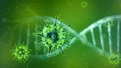 Oamenii de știință au creat o peliculă din material plastic, capabilă să distrugă virușii la contact