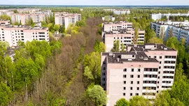 „Spiritele” prosperă acolo: Descoperire surprinzătoare făcută la Cernobîl la 40 de ani de la dezastrul nuclear