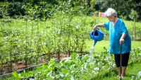 Ilegal în curte fără autorizație. Vecinii te vor reclama. Proprietarii de case trebuie să depună cerere la Primărie