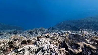 Google Street View ne poartă către 40 de insule exotice şi locaţii subacvatice spectaculoase
