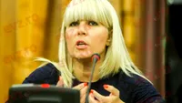 Elena Udrea, OUT din închisoare?! Decizia finală. Verdict la Instanța Supremă