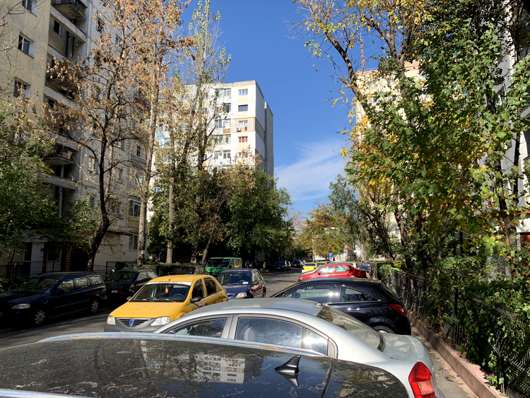 iPhone XR - foto zi