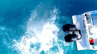 O dronă a surprins un rechin-taur care atacă cu furie un iaht de 9 metri