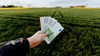 Bani pentru mii de români. S-au autorizat plățile. Când ajung sumele în conturile beneficiarilor