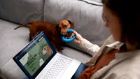 Shopping-ul online pentru animale de companie, în creștere: Tot mai mulți stăpâni din Europa comandă hrana și accesoriile preferate de pe internet