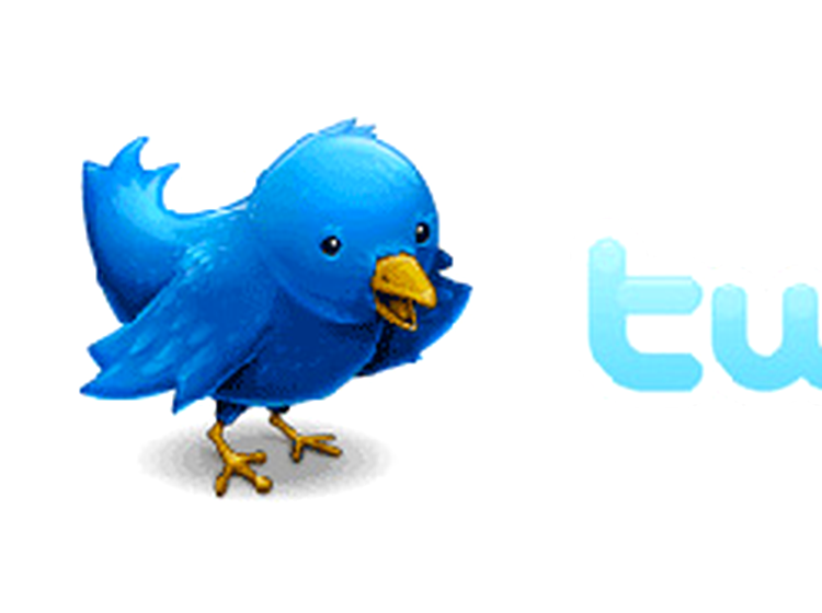 Twitter Logo