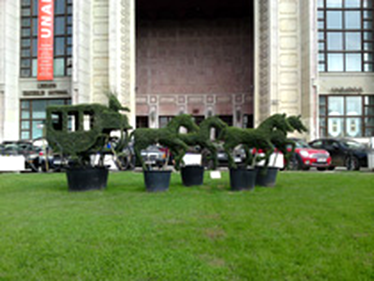 Sony Ericsson C905 - photo sample
