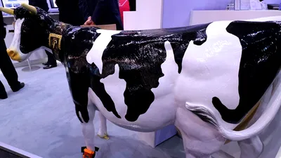 Produsele mai puţin obişnuite de la MWC 2016: Fujitsu a lansat un dispozitiv care arată când o vacă este pregătită pentru inseminare