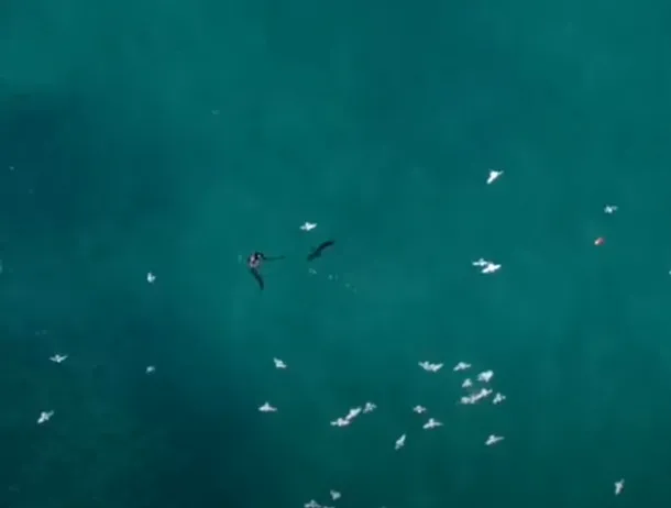 Un posibil fragment de dronă, găsit sâmbătă pe o plajă din Eforie Nord