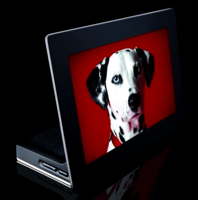 Prima ramă foto OLED - Kodak OLED Wireless Frame