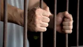 Site-ul web „EU Most Wanted” s-a dovedit esențial pentru capturarea un pedofil maghiar care se ascundea