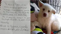 Gestul emoționant al unui copil: și-a lăsat câinele la adăpost pentru a-l proteja de tatăl său. „Mă voi întoarce să-l iau când voi fi mai mare” (FOTO)