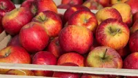 La ce trebuie să fii atent când cumperi mere din supermarket. Verifică acest lucru înainte să le pui în coș