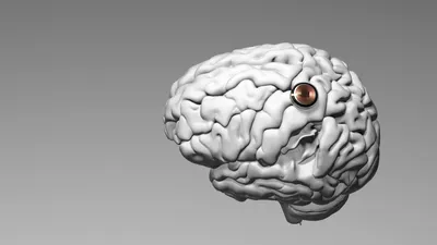 Primul chip Neuralink implantat într-un creier uman a fost un succes. Pacientul a mișcat un mouse cu ajutorul minții