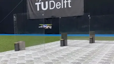 Drona cu mustăți: Cercetătorii au găsit o soluție pentru orientarea dronei într-un mediu ostil