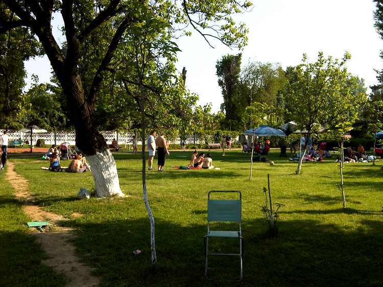 Sample Photo