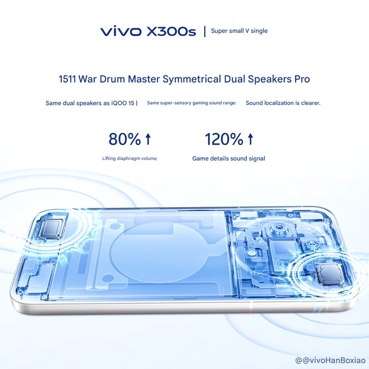 vivo X300s