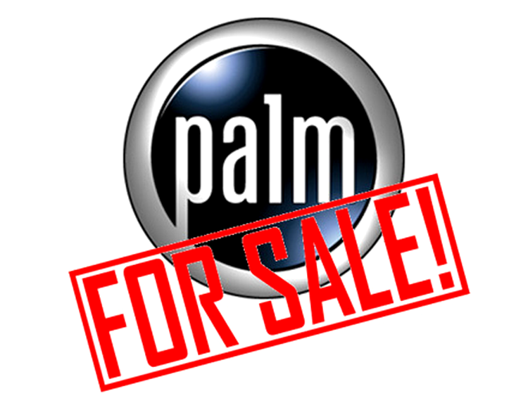 Palm