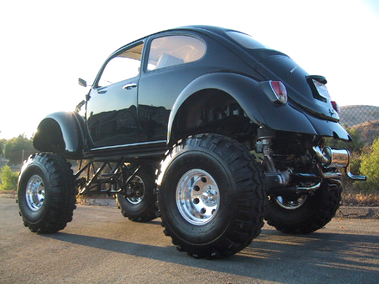 Monster Beetle