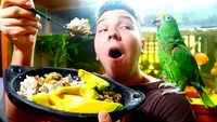 Un tânăr youtuber a slăbit spectaculos, provocând reacții în lanț. Cum a reușit Nikocado Avocado să dea jos 115 kilograme